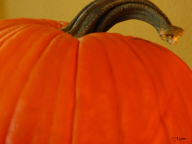 pumpkins5